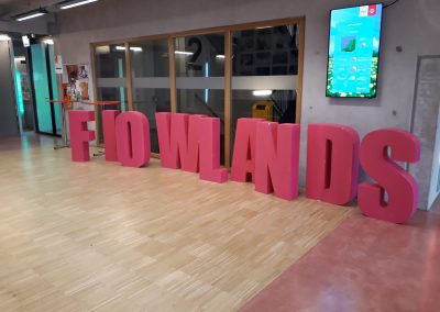 flowlands: special edition 2019