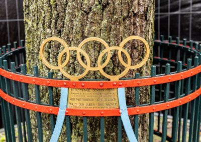 De reis van de hekjes van 1936 2020